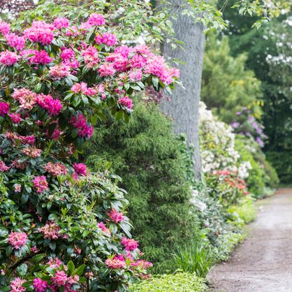 Friedwald Wähling Bestattungsarten